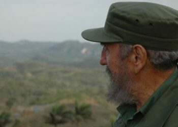 Día Mundial del Medio Ambiente: Seis ideas de Fidel sobre el tema