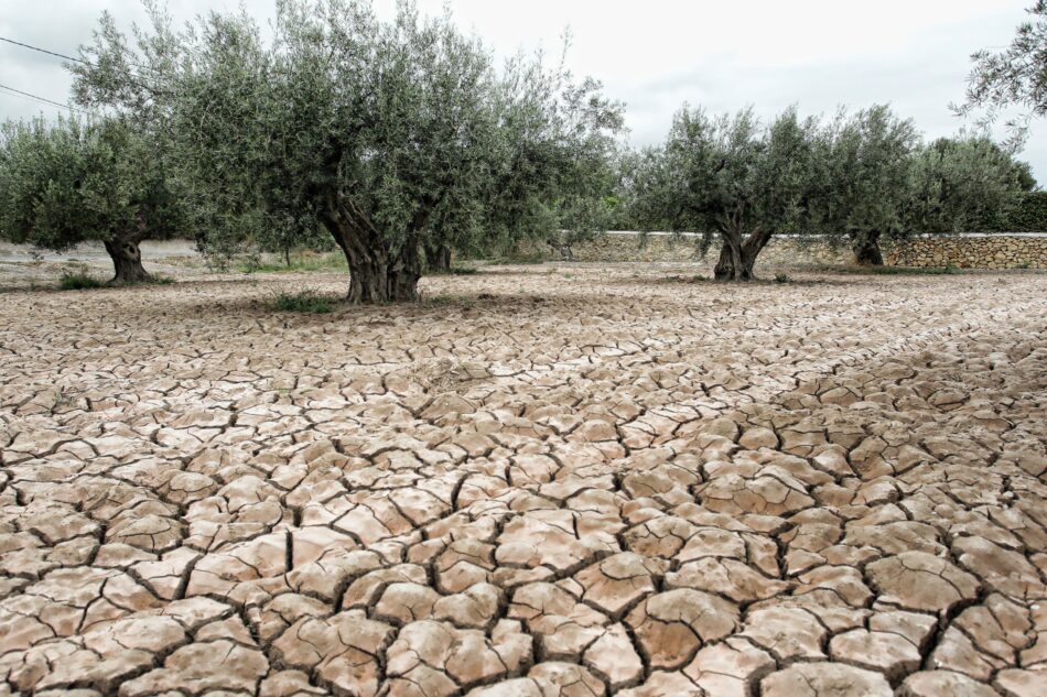 EQUO llama a tomar medidas para mitigar los efectos de la sequía en Andalucía y no seguir ahondando en ella en el futuro