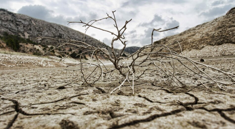 Temperaturas tan elevadas como las actuales serán cada vez más frecuentes por el cambio climático