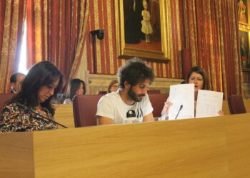 Participa celebra el anuncio de cambio de dirección y de modelo en la Bienal de Flamenco