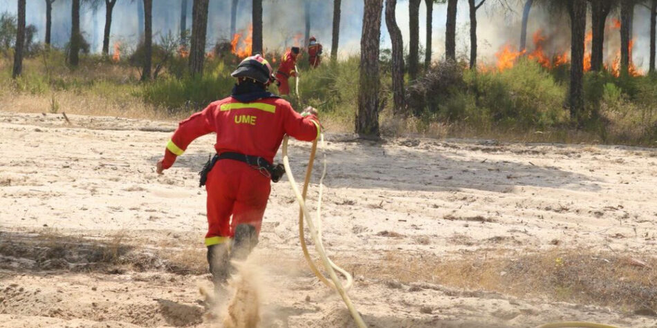 EQUO espera que el Gobierno aproveche la prórroga de la Unesco para atajar definitivamente las amenazas a Doñana