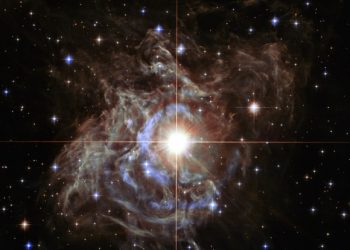 Detectan peculiares señales procedentes de una estrella