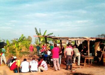 Venezuela: Campesinos de Barinas rescatan 5 mil hectáreas de un terrateniente financista de la violencia