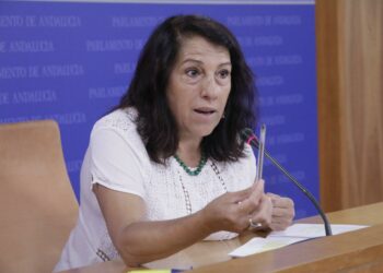 Podemos denuncia que el Parlamento paga a diputados del PSOE y PP 32.490 euros en suplementos por ‘Comisiones Fantasma’ que no se reúnen