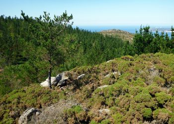 Gas Natural Fenosa dedicó sólo tres días a evaluar sobre el terreno la biodiversidad de la zona del proyecto eólico Mouriños