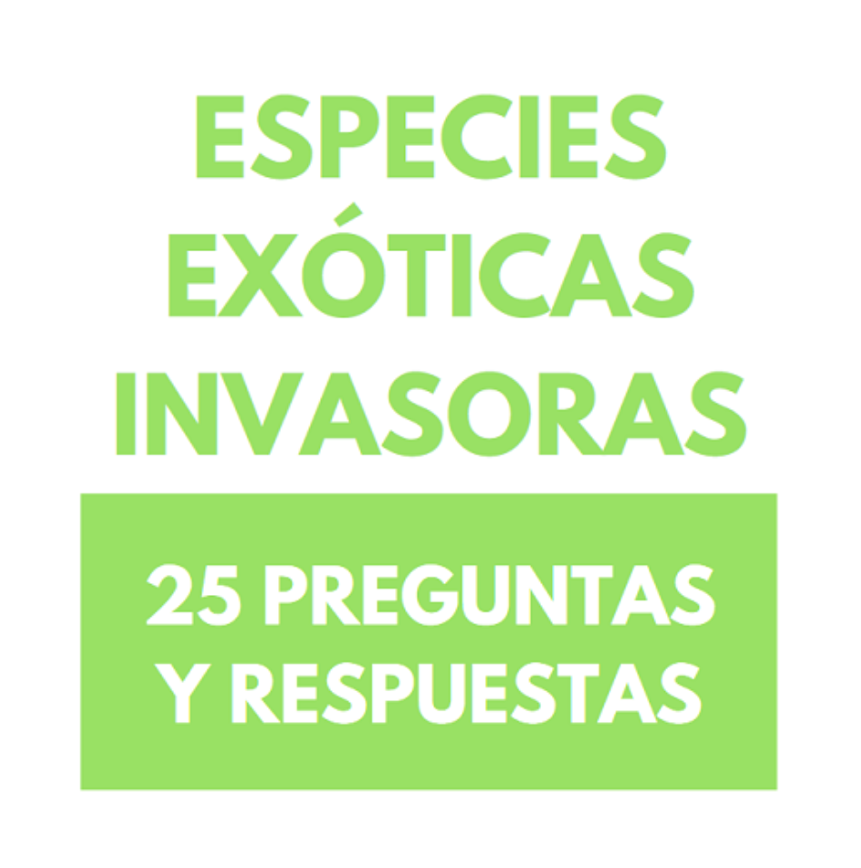 Las organizaciones ecologistas se oponen a un nuevo intento de modificación de la Ley de Patrimonio Natural y Biodiversidad