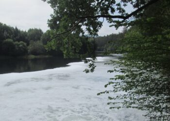 Ecologistas advierten: «Vuelven los vertidos al río Anleo en Navia»