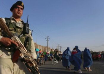 Afganistán acusa a terroristas de matar a 50 personas