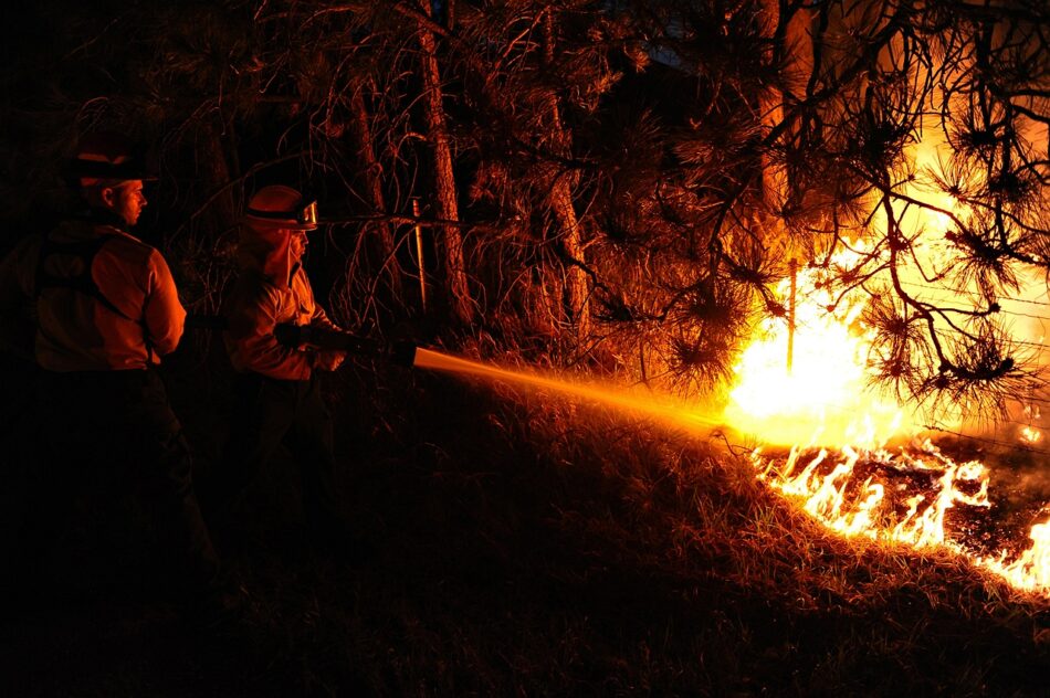 EQUO Galicia pide eficacia a la Xunta para atajar la oleada de incendios forestales