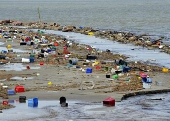 Las playas y los peces contaminados por el plástico