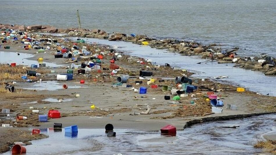 Las playas y los peces contaminados por el plástico