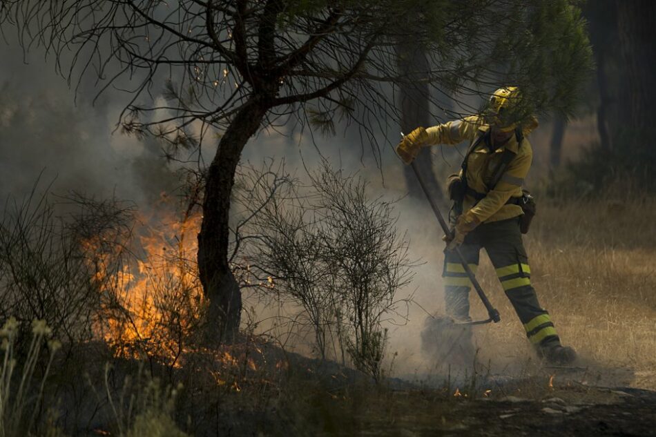 Piden que los incendios forestales dejen de quedar impunes