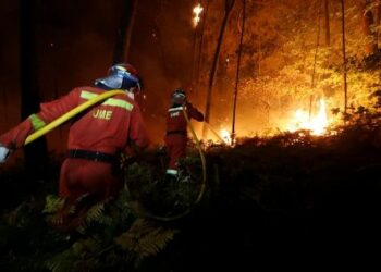 Al menos 31 muertos en los incendios en Portugal