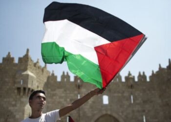 Canciller: Pueblo turco continuará al lado de los palestinos