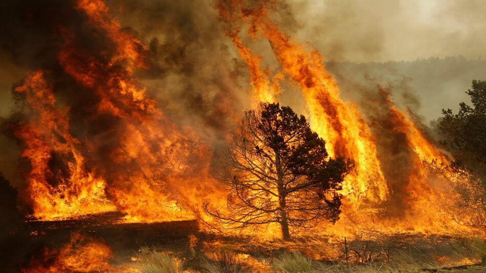 EQUO pide que se amplíe el periodo de alto riesgo de incendio en Andalucía