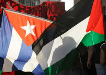 Palestina y Argelia condenan bloqueo contra Cuba