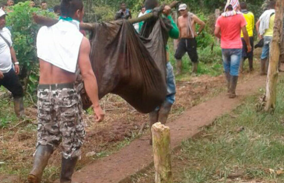 Masacre en Colombia. Por lo menos 9 personas muertas en medio de protestas por erradicación forzada en Tumaco