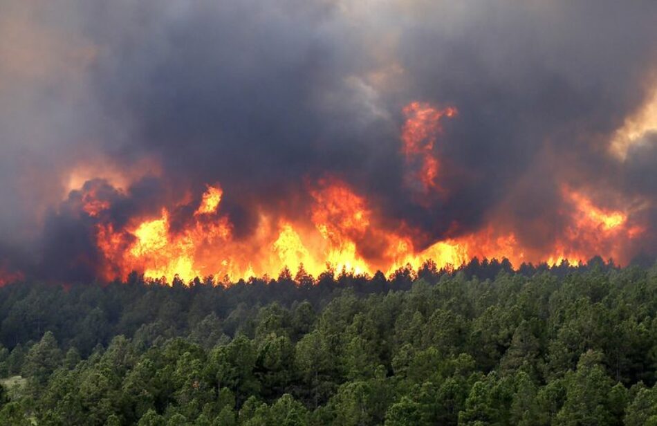 El PP impide la tramitación de una modificación de la Ley de Montes para evitar que se pueda construir en terrenos forestales incendiados