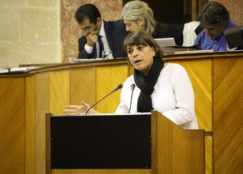 IU defiende su enmienda a los PJA: “No sacan a Andalucía de la pobreza ni modifica su modelo productivo»