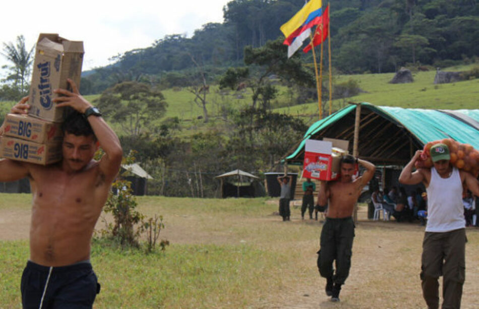Colombia. Misión de la ONU expresó su preocupación por el proceso de reincorporación de ex guerrilleros