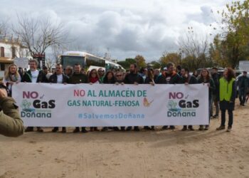 Marina Albiol envía al Parlamento Europeo el informe del Defensor del Pueblo sobre Doñana e insiste en que Bruselas mande una misión de investigación sobre el terreno