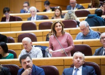 Unidos Podemos lleva al Senado las reclamaciones de los ayuntamientos del cambio en materia de vivienda