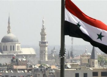 Egipto reconoce la legitimidad del gobierno de Assad y la ilegitimidad de la presencia militar de EEUU en Siria