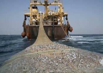 EQUO Asturias considera que el acuerdo europeo sobre pesca tendrá un impacto negativo en las poblaciones