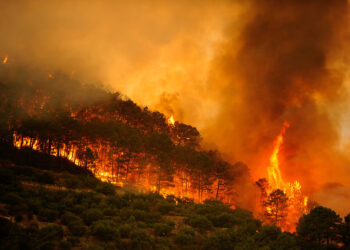 2017 se despide como el peor año del decenio en grandes incendios forestales en España
