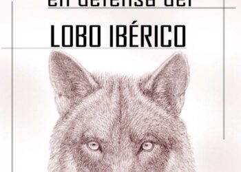 Madrid acogerá una nueva manifestación en defensa del lobo ibérico