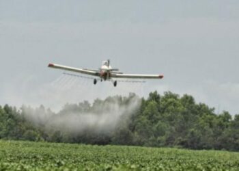 Doce organizaciones ambientales piden a la ministra de Agricultura objetivos claros para reducir la dependencia de los pesticidas