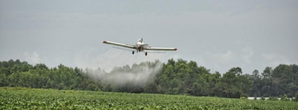 Doce organizaciones ambientales piden a la ministra de Agricultura objetivos claros para reducir la dependencia de los pesticidas