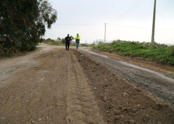 Carmen Molina pregunta al consejero de Medio Ambiente por la recuperación de las vías pecuarias de Rota