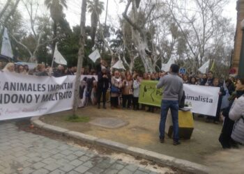 8 de marzo: PACMA lucha por los derechos reales de todas las mujeres