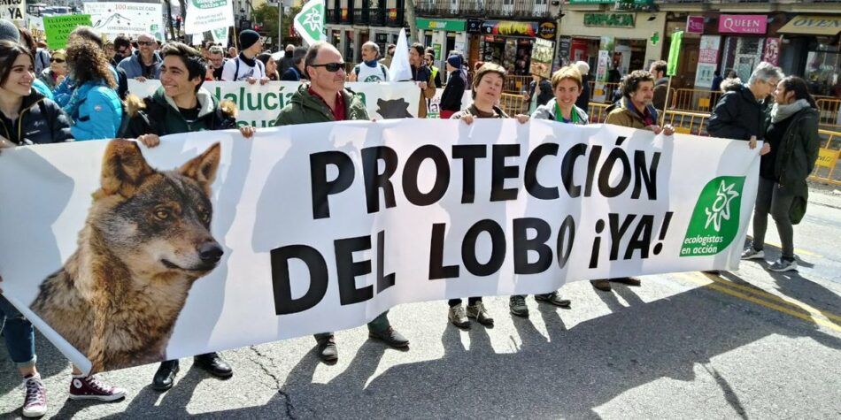 Miles de personas llegadas de todos los puntos del estado se manifiestan en Madrid en defensa del lobo ibérico