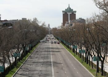 Las actuaciones sobre el arbolado urbano de Madrid son una cuestión de gran transcendencia que requiere una buena estrategia de comunicación