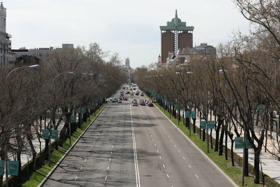 Las actuaciones sobre el arbolado urbano de Madrid son una cuestión de gran transcendencia que requiere una buena estrategia de comunicación