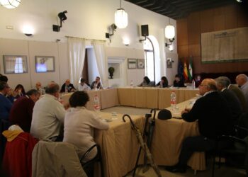 Podemos Andalucía muestra su apoyo a las movilizaciones por las pensiones públicas del próximo domingo