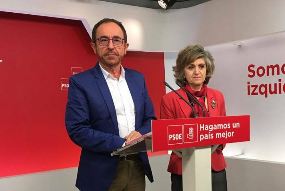 IU muestra su “sorpresa” por el “extraordinario parecido” entre la iniciativa sobre eutanasia que registra ahora el PSOE  “con la que nos rechazaron dos veces hace un año”
