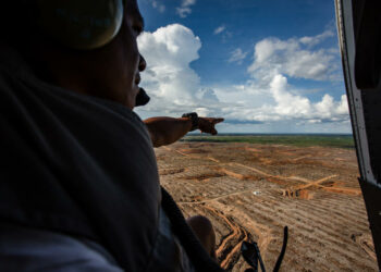Aceite de palma: el gobierno de Indonesia se pasea por Europa mientras continúa la deforestación