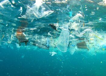 CGT celebra el Día Mundial del Medio Ambiente uniéndose a una campaña contra el vertido de plásticos en nuestras aguas