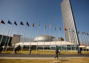Unión Africana, logros y desafíos