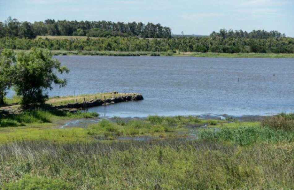 Uruguay. Docentes de Ciencias denuncian “decreto mordaza” que limita la investigación sobre el agua