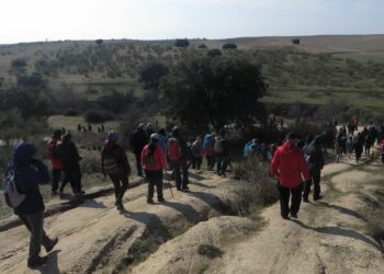 El Ayuntamiento de Leganés acuerda tomar medidas para impulsar la vía verde y el corredor ecológico del Suroeste