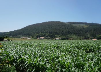 Salvemos Cabana critica a la Consellería de Industria por primar el beneficio empresarial frente al interés general en el proyecto eólico Pena Forcada-Catasol II