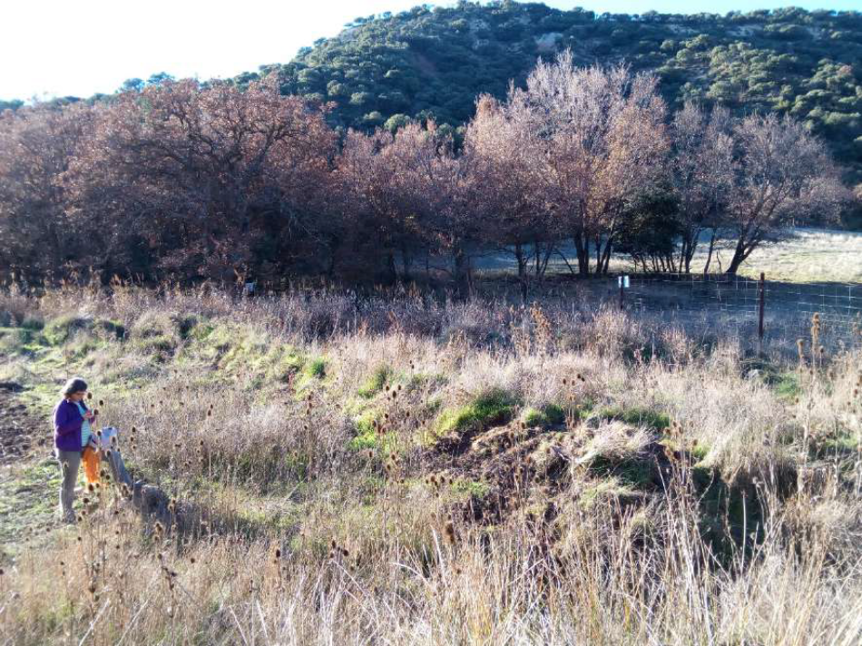 El impacto negativo de la caza en el medio rural crece