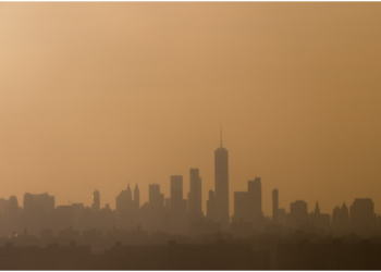 El capitalismo, no “la naturaleza humana”, fue lo que acabó con nuestro impulso para enfrentar el cambio climático