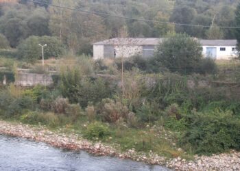 Cancelan el disparatado proyecto de la cría de esturiones en el río Piloña