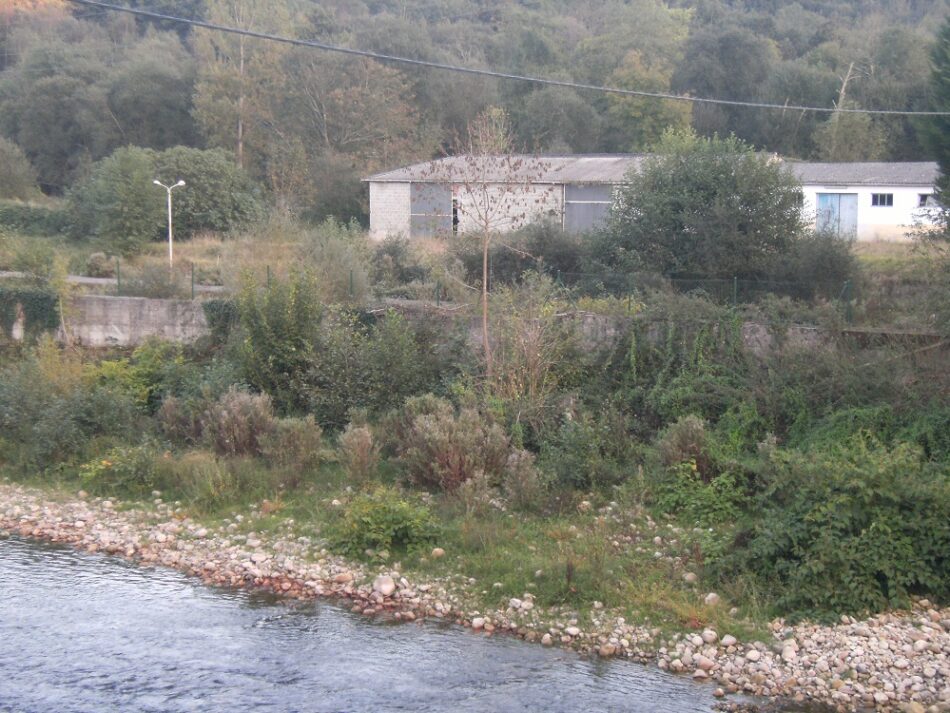 Cancelan el disparatado proyecto de la cría de esturiones en el río Piloña