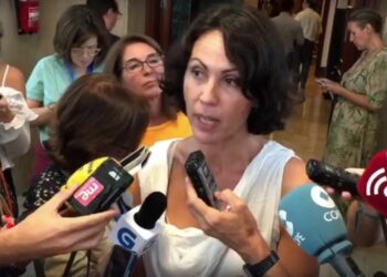 Sempere señala que “en Ahora Madrid no sobra nadie, no sobra Manuela Carmena, pero tampoco los cauces democráticos, la participación y las primarias”